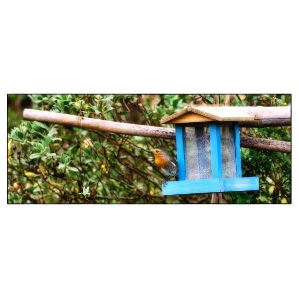 PHOTO84, CLUB, 84 , LUBERON